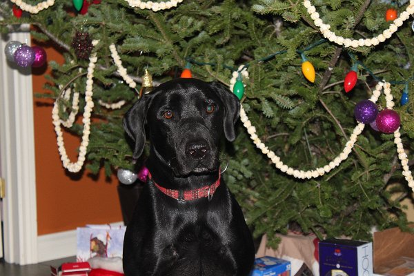 New Camera Dec2010 165